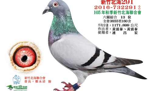 青提子的功效和作用是什么-青提子的营养价值-青提子的功效和作用禁忌,中国青提子的功效和作用网站
