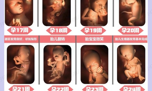 青提子图片-青提子的营养价值-青提子的功效和作用禁忌,中国青提子的功效和作用网站