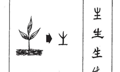 青提子的功效和作用禁忌-青提子的营养价值-青提子的功效和作用禁忌,中国青提子的功效和作用网站