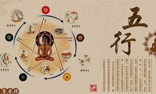 青提子是什么水果-青提子的营养价值-青提子的功效和作用禁忌,中国青提子的功效和作用网站