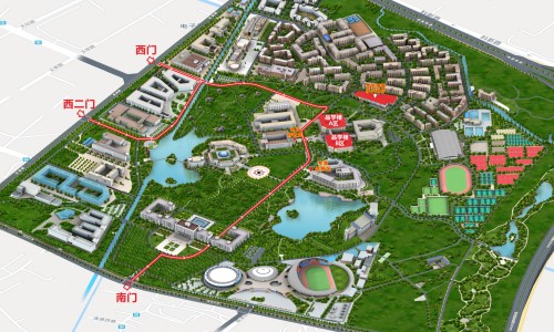 青提子的功效和作用禁忌-青提子的营养价值-青提子的功效和作用禁忌,中国青提子的功效和作用网站